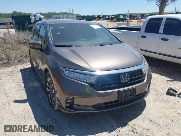 2022 Honda Odyssey EX-L with VIN 5FNRL6H76NB052194, listed as a IAAI auction lot 41889058 with 49,731 mi miles and . Bid and sale history available at DreamBid. Image 1.