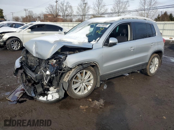 2016 Volkswagen Tiguan S with VIN WVGBV7AXXGW554423, listed as a Copart auction lot 44310835 with 123,118 mi miles and Salvage Title. Bid and sale history available at DreamBid. Image 1.