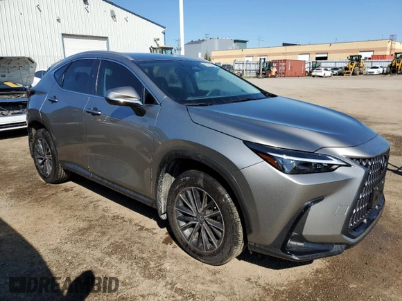 2024 Lexus NX with VIN 2T2ADCEZ4RC004990, listed as a Copart auction lot 65790834 with 7,141 mi miles and Non Repairable. Bid and sale history available at carsss.com. Image 4.