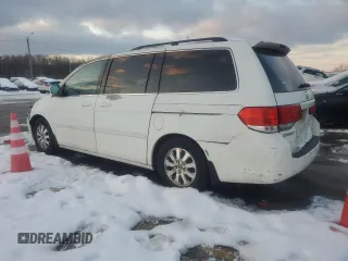 2010 Honda Odyssey EX-L with VIN 5FNRL3H77AB051869, listed as a Copart auction lot 88023625 with 248,511 mi miles and Salvage Title. Bid and sale history available at DreamBid. Image 2.