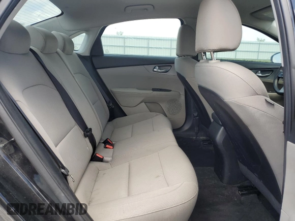 2019 Kia Forte LXS with VIN 3KPF24AD7KE069680, listed as a Copart auction lot 61931725 with 97,610 mi miles and Salvage title. Bid and sale history available at DreamBid. Image 10.