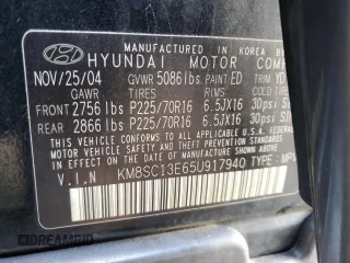 2005 Hyundai Santa Fe GLS with VIN KM8SC13E65U917940, listed as a Copart auction lot 41677315 with 116,335 mi miles and Salvage Title. Bid and sale history available at carsss.com. Image 15.