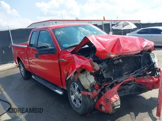 2009 Ford F-150 STX with VIN 1FTRX12W99FA49542, listed as a IAAI auction lot 42436129 with 213,209 mi miles and . Bid and sale history available at DreamBid. Image 1.