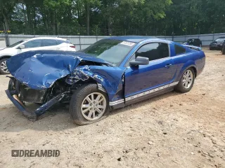 2006 Ford Mustang Standard z VIN 1ZVFT80NX65180107, wystawiony jako Copart lot #57531295 z przebiegiem 226 239 mil mil oraz Szkoda całkowita • Salvage title. Historia ofert i sprzedaży dostępna na DreamBid. Obrazek 1.