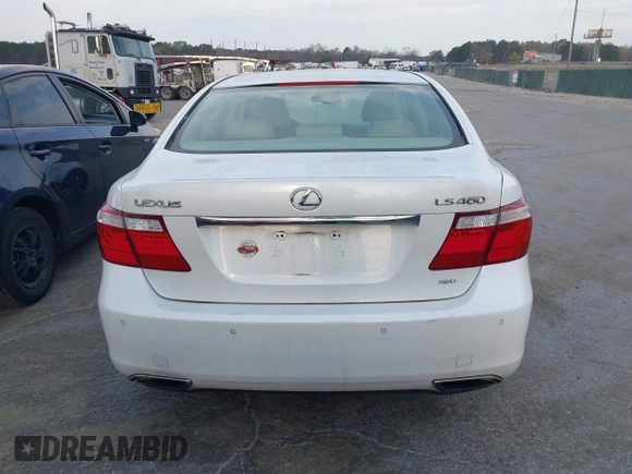 2009 Lexus LS 460 с VIN JTHCL46F095002661, выставлен на аукционе IAAI как лот 41873060 с пробегом 260 882 миль миль и . История ставок и продаж доступна на DreamBid. Изображение 17.