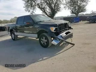 2010 Ford F-150 XL with VIN 1FTFW1CV6AFD01991, listed as a Copart auction lot 42699005 with 151,049 mi miles and Salvage Title. Bid and sale history available at DreamBid. Image 10.