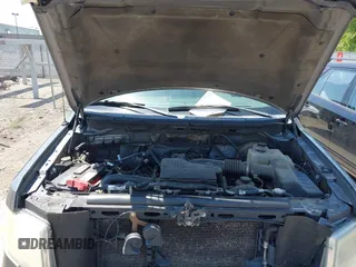 2009 Ford F-150 XL с VIN 1FTRF12W09KB65870, выставлен на аукционе IAAI как лот 42486982 с пробегом 106 412 миль миль и . История ставок и продаж доступна на DreamBid. Изображение 10.