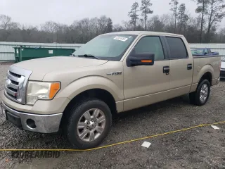2009 Ford F-150 XL with VIN 1FTRW12809FA24596, listed as a Copart auction lot 43054685 with 102,507 mi miles and Salvage Title. Bid and sale history available at carsss.com. Image 1.