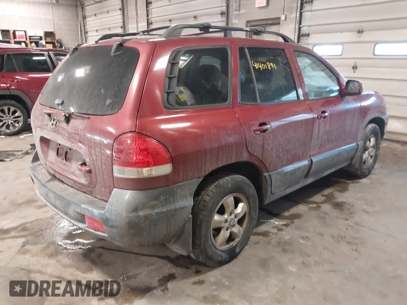 2005 Hyundai Santa Fe GLS with VIN KM8SC73EX5U935778, listed as a IAAI auction lot 41401893 with 248,365 mi miles. Bid and sale history available at carsss.com. Image 4.