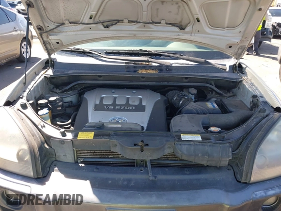 2006 Hyundai Tucson GLS with VIN KM8JN12DX6U357128, listed as a IAAI auction lot 41816481 with 212,846 mi miles. Bid and sale history available at carsss.com. Image 10.