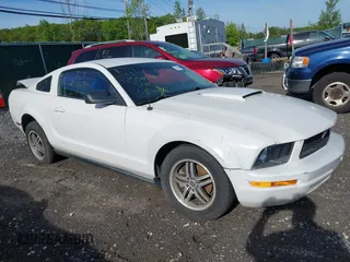 2005 Ford Mustang Deluxe with VIN 1ZVFT80N855137237, listed as a IAAI auction lot 42350582 with Not provided miles and . Bid and sale history available at DreamBid. Image 1.