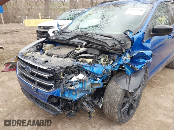 2017 Ford Escape SE with VIN 1FMCU0GD1HUC22489, listed as a IAAI auction lot 41844918 with 113,000 mi miles. Bid and sale history available at carsss.com. Image 6.