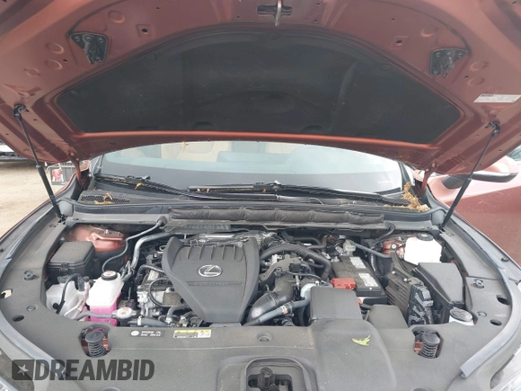 2024 Lexus RX 350 with VIN 2T2BAMCA8RC052539, listed as a IAAI auction lot 42177219 with 16,737 mi miles and . Bid and sale history available at DreamBid. Image 10.