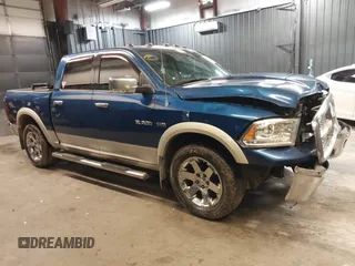 2009 Dodge 1500 SLT с VIN 1D3HV13T69S757414, выставлен на аукционе IAAI как лот 42142983 с пробегом 295 855 миль миль и . История ставок и продаж доступна на DreamBid. Изображение 14.