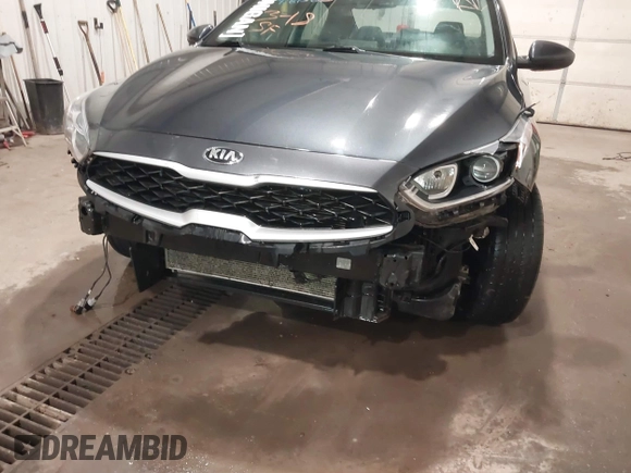 2019 Kia Forte LXS with VIN 3KPF24AD4KE009940, listed as a IAAI auction lot 41815645 with 68,075 mi miles and . Bid and sale history available at DreamBid. Image 6.