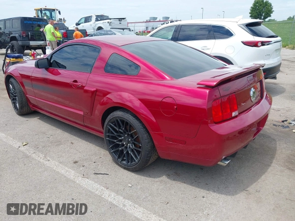 2007 Ford Mustang GT Deluxe с VIN 1ZVFT82H075198785, выставлен на аукционе IAAI как лот 42349870 с пробегом 42 229 миль миль и . История ставок и продаж доступна на DreamBid. Изображение 3.