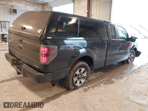 2014 Ford F-150 XL with VIN 1FTFX1EF6EFA91515, listed as a IAAI auction lot 41684885 with 164,052 mi miles. Bid and sale history available at carsss.com. Image 4.