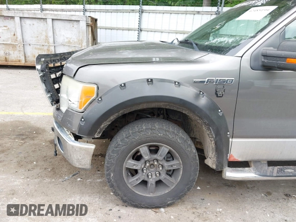 2009 Ford F-150 XL z VIN 1FTRW14829FB24504, wystawiony jako IAAI lot #42485199 z przebiegiem 198 639 mil mil oraz . Historia ofert i sprzedaży dostępna na DreamBid. Obrazek 6.