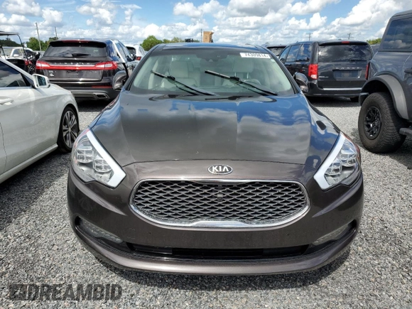 2015 Kia K900 Luxury with VIN KNALW4D48F6017602, listed as a Copart auction lot 74309814 with 0 mi miles and Salvage Title. Bid and sale history available at carsss.com. Image 5.