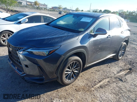 2024 Lexus NX with VIN JTJGDCAZXR5020805, listed as a IAAI auction lot 41828608 with 10,769 mi miles. Bid and sale history available at carsss.com. Image 17.