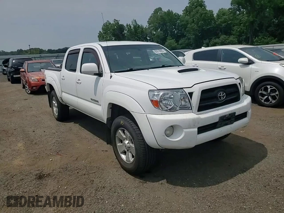 2005 Toyota Tacoma with VIN 5TELU42N95Z023835, listed as a Copart auction lot 60819095 with 271,642 mi miles and Salvage title. Bid and sale history available at DreamBid. Image 13.