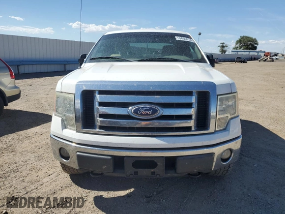 2010 Ford F-150 XL with VIN 1FTFX1EVXAFA84018, listed as a Copart auction lot 59456813 with 0 mi miles and Clean Title. Bid and sale history available at carsss.com. Image 5.