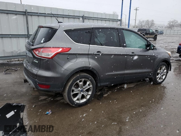 2013 Ford Escape SEL with VIN 1FMCU0H94DUA02476, listed as a Copart auction lot 48042265 with 118,732 mi miles and Salvage Title. Bid and sale history available at carsss.com. Image 3.