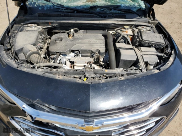 2019 Chevrolet Malibu LT with VIN 1G1ZD5ST6KF158433, listed as a Copart auction lot 49264265 with 0 mi miles and Clean Title. Bid and sale history available at carsss.com. Image 11.