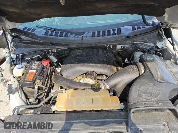 2016 Ford F-150 XLT with VIN 1FTEW1EG8GFD30816, listed as a Copart auction lot 58618685 with 178,748 mi miles and Salvage title. Bid and sale history available at DreamBid. Image 11.