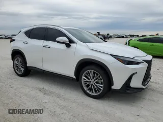 2022 Lexus NX with VIN 2T2GKCEZXNC008682, listed as a Copart auction lot 77434873 with Not Provided miles. Bid and sale history available at carsss.com. Image 4.