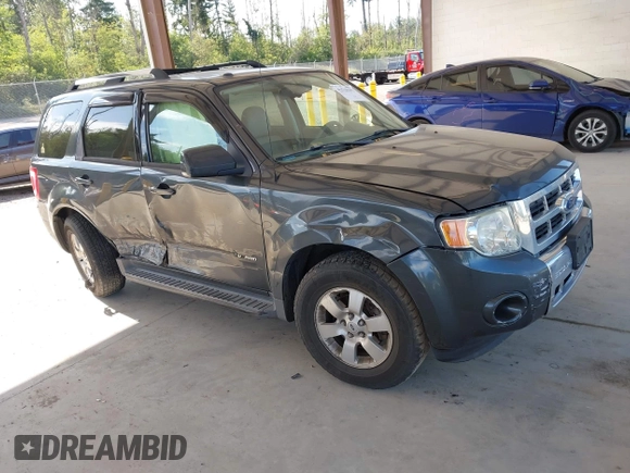 2009 Ford Escape Hybrid with VIN 1FMCU59389KB08343, listed as a IAAI auction lot 42520392 with 171,864 mi miles and . Bid and sale history available at DreamBid. Image 1.
