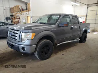 2010 Ford F-150 XL with VIN 1FTFW1EV5AKE16361, listed as a Copart auction lot 49160425 with 125,483 mi miles and Non Repairable. Bid and sale history available at carsss.com. Image 1.