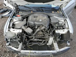 2017 BMW 2 Series 230i with VIN WBA2F9C34HV664704, listed as a Copart auction lot 45347985 with 46,097 mi miles and Salvage title. Bid and sale history available at DreamBid. Image 11.