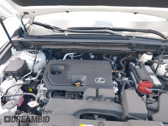 2024 Lexus NX 250 с VIN 2T2ADCAZ9RC015022, выставлен на аукционе IAAI как лот 42053721 с пробегом 11 458 миль миль и . История ставок и продаж доступна на DreamBid. Изображение 10.
