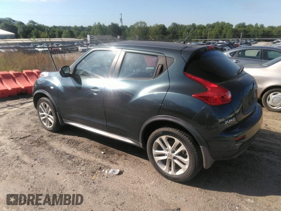 2013 Nissan Juke S with VIN JN8AF5MR9DT214096, listed as a IAAI auction lot 42132055 with 209,039 mi miles. Bid and sale history available at carsss.com. Image 3.