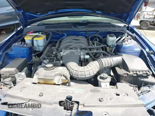 2007 Ford Mustang GT Deluxe with VIN 1ZVFT85H875257335, listed as a IAAI auction lot 42489672 with 50,334 mi miles and . Bid and sale history available at DreamBid. Image 10.