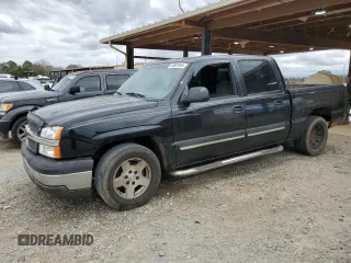2005 Chevrolet Silverado 1500 LS with VIN 2GCEC13T351363025, listed as a Copart auction lot 49901065 with 318,832 mi miles and Salvage Title. Bid and sale history available at carsss.com. Image 1.
