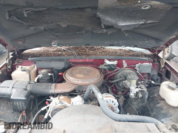 1994 GMC Sierra 1500 z VIN 2GTEK19K0R1559706, wystawiony jako IAAI lot #41906905 z przebiegiem 236 787 mil mil oraz . Historia ofert i sprzedaży dostępna na DreamBid. Obrazek 10.