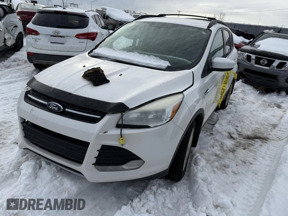 2013 Ford Escape SE with VIN 1FMCU9G97DUB99908, listed as a Copart auction lot 48123295 with Not Provided miles and Non Repairable. Bid and sale history available at DreamBid. Image 1.