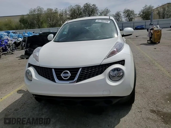 2013 Nissan Juke S with VIN JN8AF5MR2DT216949, listed as a Copart auction lot 53165925 with 124,800 mi miles and Salvage Title. Bid and sale history available at carsss.com. Image 11.