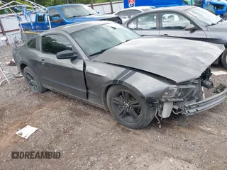2014 Ford Mustang V6 с VIN 1ZVBP8AM7E5287185, выставлен на аукционе IAAI как лот 42187534 с пробегом 165 355 миль миль и . История ставок и продаж доступна на DreamBid. Изображение 1.