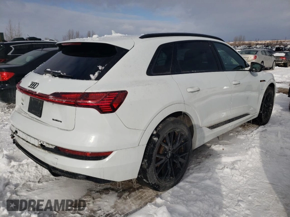 2022 Audi e-tron Premium with VIN WA1AAAGE4NB023103, listed as a Copart auction lot 43551575 with 97,461 mi miles and Salvage Title. Bid and sale history available at DreamBid. Image 3.