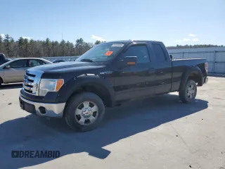 2010 Ford F-150 XL with VIN 1FTEX1C86AFA31700, listed as a Copart auction lot 53160385 with 0 mi miles and Clean Title. Bid and sale history available at carsss.com. Image 1.
