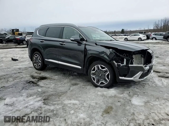2022 Hyundai Santa Fe Limited with VIN 5NMS4DAL8NH456185, listed as a Copart auction lot 48406205 with 39,580 mi miles and Salvage Title. Bid and sale history available at carsss.com. Image 15.