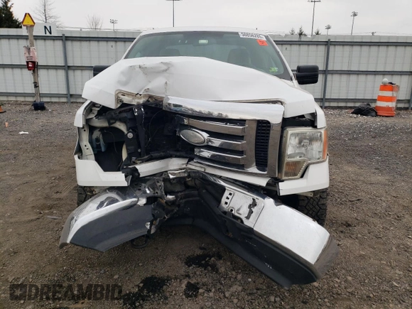 2009 Ford F-150 STX with VIN 1FTRX14889FA73202, listed as a Copart auction lot 50856285 with 184,181 mi miles and Salvage Title. Bid and sale history available at carsss.com. Image 5.