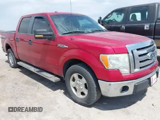 2010 Ford F-150 XL with VIN 1FTEW1C8XAFA87691, listed as a IAAI auction lot 42052174 with 212,818 mi miles. Bid and sale history available at carsss.com. Image 1.