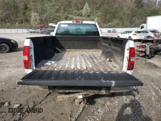 2009 Chevrolet Silverado 1500 Work Truck with VIN 1GCEC14X19Z225725, listed as a Copart auction lot 51499965 with Not Provided miles and Salvage Title. Bid and sale history available at DreamBid. Image 10.