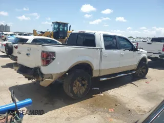2009 Ford F-150 XL with VIN 1FTPW14VX9KA17124, listed as a Copart auction lot 55144375 with 257,748 mi miles and Salvage title. Bid and sale history available at DreamBid. Image 3.