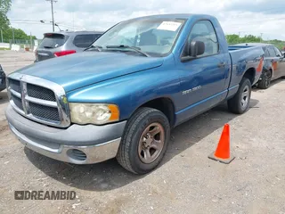 2002 Dodge 1500 with VIN 1D7HA16K12J250476, listed as a IAAI auction lot 42142215 with 132,509 mi miles and . Bid and sale history available at DreamBid. Image 2.