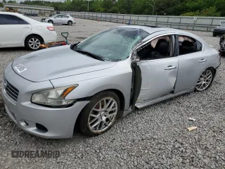2010 Nissan Maxima SV with VIN 1N4AA5AP1AC803173, listed as a Copart auction lot 54816805 with Not provided miles and Salvage title. Bid and sale history available at DreamBid. Image 1.